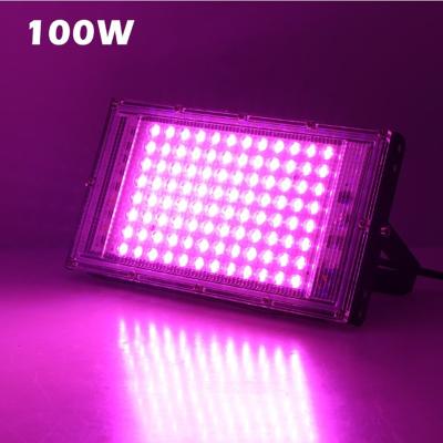 China FLOWER led grow lights Red/Blue Spectrum Hydroponics 50W 100w Plant Growth Lights Succulent Lamps for House for sale