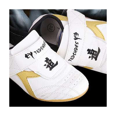 China Taekwondo Practice 2021 Wholesale Custom Design New Summer Comfortable Karate Taekwondo Boxing Shoes for sale