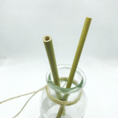 China Disposable Biodegradable Bamboo Straws Bulk With Cleaning Brush Bamboo Drinking Straws Reusable for sale