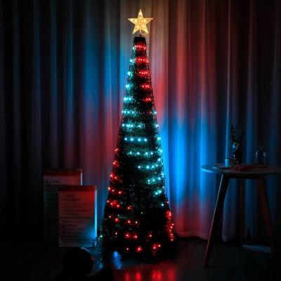 China Outdoor Decor LED Leather Strip Color Christmas Lamp RGB String Lamp Christmas Tree Indoor/Outdoor Holiday Lighting for sale