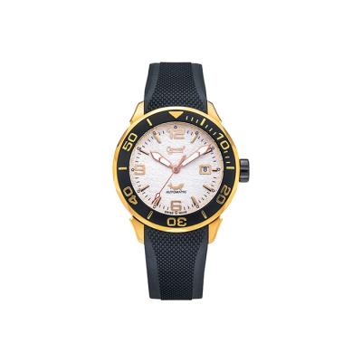 China Men Vending Machine Hand Luminous Sapphire Glass Mechanic Watch for sale