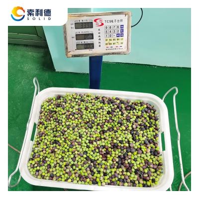 China 2 Phase Separation Extraction EVOO-500 500KG/H Olive Oil Extraction Machine for Oil for sale