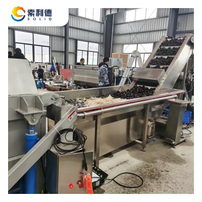 Chine Machine d'extraction d'huile d'avocat pressée à froid de 3 T/H avec une capacité maximale pour les marchés nationaux à vendre