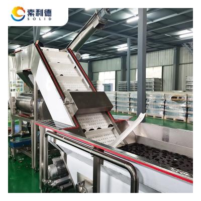 China Extra Virgin Avocado Oil Press Machine CPAO-5000 5T/H mit Samen und Hautentfernung zu verkaufen