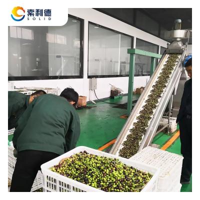 Cina Lungo ciclo di vita garantito EVOO-1500 Linea di produzione di olio extravergine di oliva da 1500 kg/h in vendita