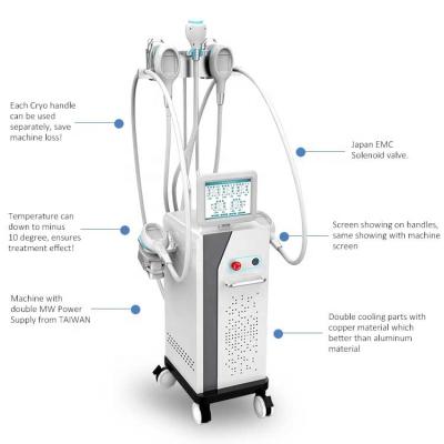 China BEAUTEMED 5 Weight Loss Handles Double Chin Removal Loss Weight Slimming Kryolipolysis Machine for sale