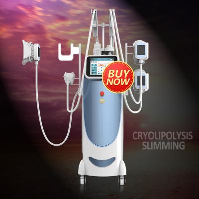 China Beautemed Weight Loss Machine Kryolipolysis Slimming Weight Loss Kryolipolysis Weight Loss Machine for sale