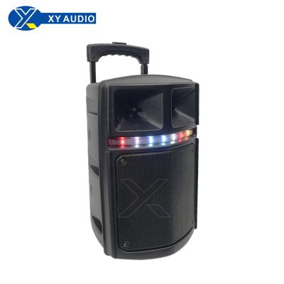 China 8 inch speakers and pull rod and wheel speakers and fashionable speakers and speakers XY-0822 for sale