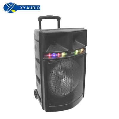 China 12 inch speakers and pull rod and wheel speakers and XY-1230 fashionable speakers and speakers for sale