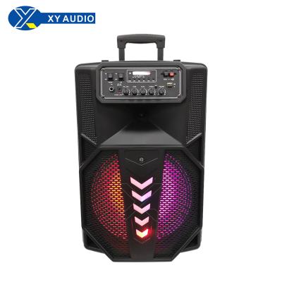 China 12 inch speakers and pull rod and wheel speakers and XY-1235 fashionable speakers and speakers for sale