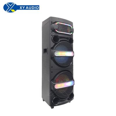 China dual speaker and 12 inch cart karaoke woofer fashionable speakers and speakers XY-1238 for sale