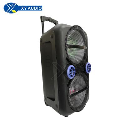 China 2*10 inch speakers and pull and rod speakers and fashionable speakers and speakers XY-1001 for sale