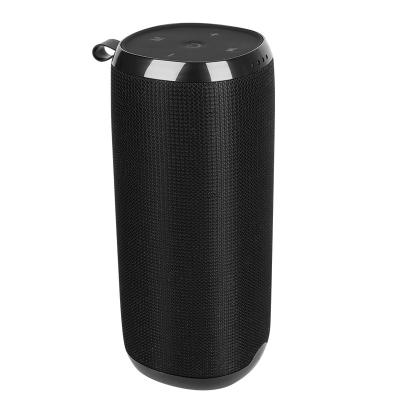 China PORTABLE Speaker 1200mAh Private Battery 10W Walt Mold 10 Factory Portable Speaker for sale