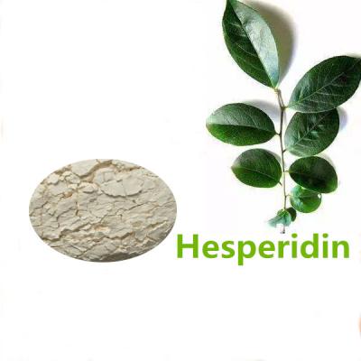 China Hesperidin Supplement Hesperidin Powder 93.0% HPLC Strengthening Vitamin C for sale