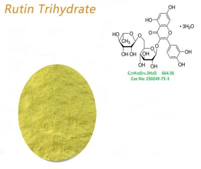 China Pó puro do Rutin do extrato do botão de Flos Sophorae como o recurso de Troxrutin à venda