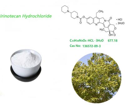 China Medicinal Grade Irinotecan Hydrochloride CP2015 Powder Treating Cancer for sale