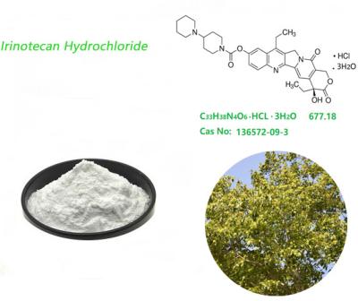 China Pó branco do hidrocloro de CAS 136572-09-3 Irinotecan usado em medicinal à venda