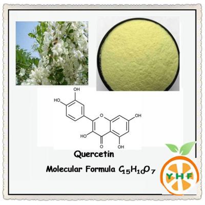 China Scphora Japonica L Extract Organic Quercetin Powder In Cosmetic for sale