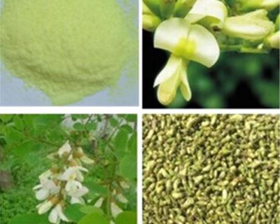 Κίνα 100% καθαρή Sophora Japonica Λ σκόνη ερυθρίνης αποσπασμάτων κίτρινη για τη γήρανση δερμάτων προς πώληση