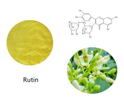 China Extrato de planta Sophora Japonica Extract EP Quercetina em pó à venda