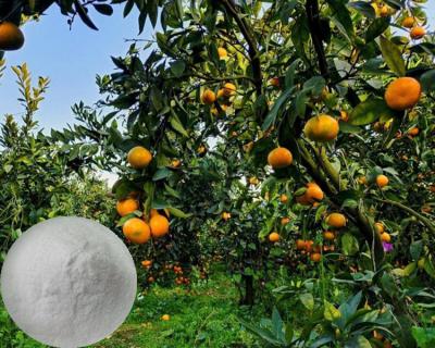 Китай Citrus Aurantium Extract Neohesperidin Dihydrochalcone Powder 96% NHDC продается