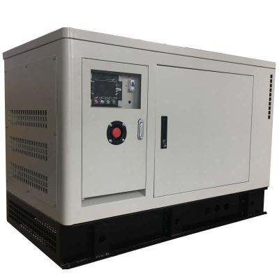 China 25kW Natural Gas Biogas Coal Gas Generator 2021 New Model For Sale SDK10-NJL for sale