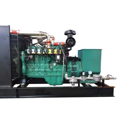 China 50kW Natural Gas Biogas Coal Gas Generator 2021 New Model For Sale VEGALY-50N for sale