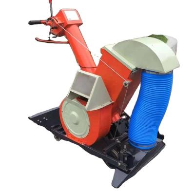 China Food & Beverage Factory low price paddy, rice, wheat, corn grain cleaning machine for sale