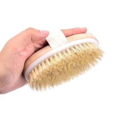 China “All World Store” PC Dry Skin Body Hair Brush Spa Brush Wet Natural Soft Bath Massager Home for sale