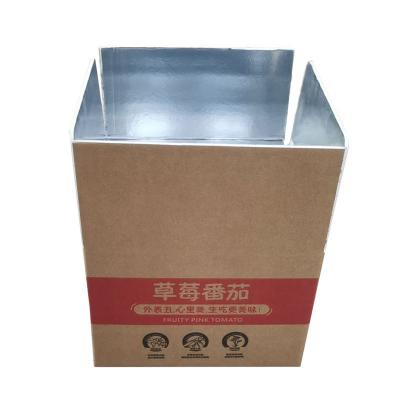 China Wholesale Recyclable Custom Cardboard Foldable Waterproof Insulated Logo Design Food Cold Chain Thermal Transport Box for sale