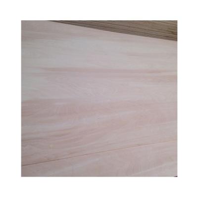 China Contemporary China Manufacture Quality 18mm Coated Anti Slip 9mm Birch Plywood for sale