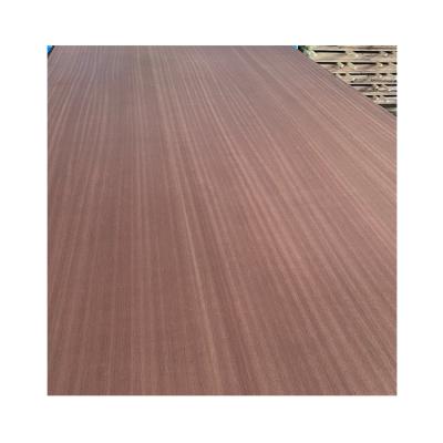 China Contemporaty Hot Sale Contemporary Fancy Laminated Straight Sapeli Faced Plywood for sale