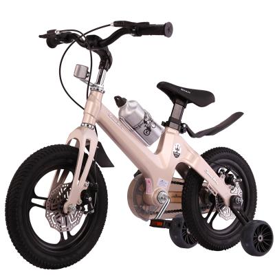 China Factory Manufacture Magnesium Steel Various Alloy Children's Bicycle Early Education Double Brake Safety for sale