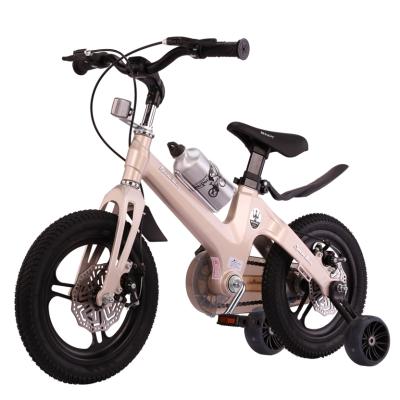 China Top Quality Best Price Kids Steel Indoor Exercise Fitness Early Education Bicycle for sale