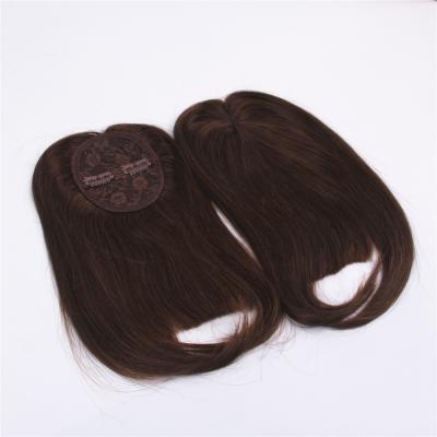 China Brazilian Human Hair 100 Virgin Hair Extension Brazilian Hair Clip In Hair Bangs for sale