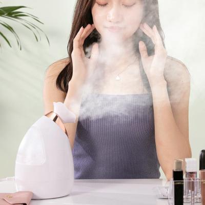 China Plant Natrual Deep Cleansing Natrual 3 Facial Sprayer And Mist Hand Protection Nano Mask Steamer Cold Hot In 1 Spray Beauty Steamer For Face for sale