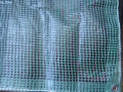 China clear mesh tarpaulin, greenhouse fabric for sale