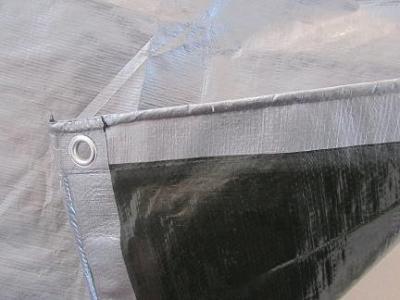 Chine Bâche de toile résistante, feuille en plastique imperméable de 100% à vendre