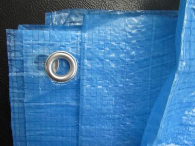 China 2*3 m pe Tarpaulin 55g/sqm includes Eyelets for sale