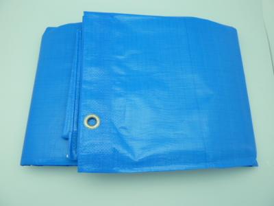 China All Sizes Tarpaulin Ground Sheet Waterproof Shed Rain Cover Camping Tarp Tent for sale