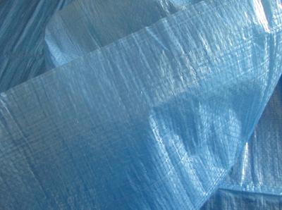 China Thin Blue PE Tarpaulin Sheet for Yard Cover for sale