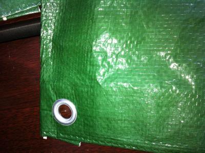 China PE tarpaulin sheet HDPE Tarps green poly tarps coated canvas for sale