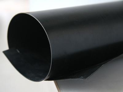 China 2.5mm black color high quality HDPE Geomembrane Te koop