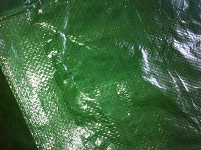 China 5mil green color PE tarpaulin poly tarp for sale