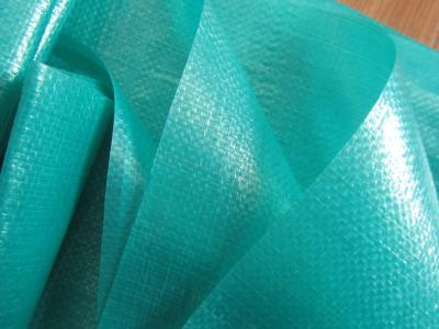 China 165gsm pe virgin green tarpaulin with polythene coating for sale