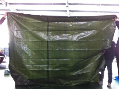 Chine green color 160gsm HDPE woven fabric waterproof PE tarpaulin à vendre