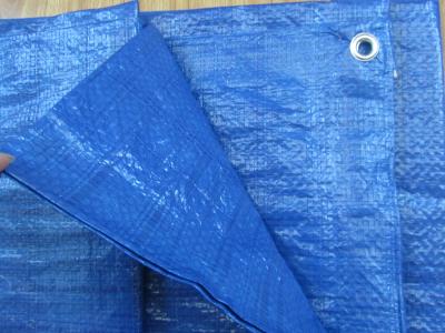 Chine 55gsm blue color waterproof woven fabric PE tarpaulin poly tarp à vendre