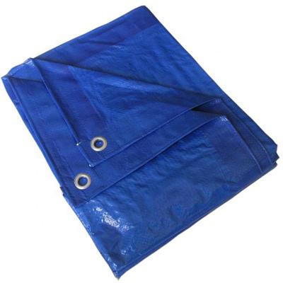 China different weight thickness p.e.tarpaulin sheet and roll for sale