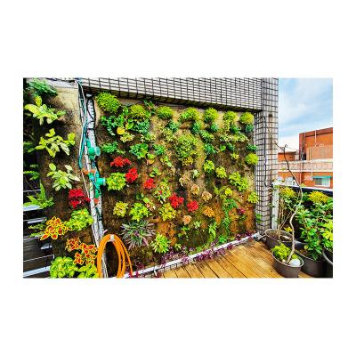 China Garden Home Indoor Plastic Wall Tropical Plant Decoration Quasi-Eco-Friendly Green Garden Decoration Wall for sale