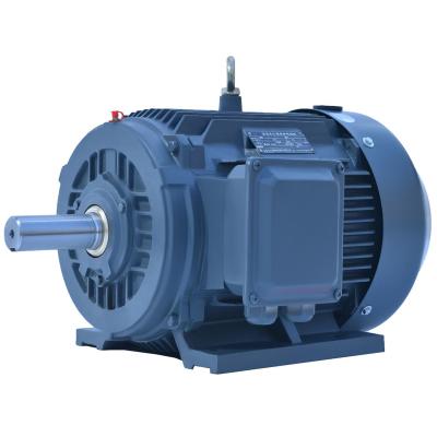 China 75kw 200kw 25kw 125kw Totally Enclosed Motor Thermally Protected Electric Motor for sale